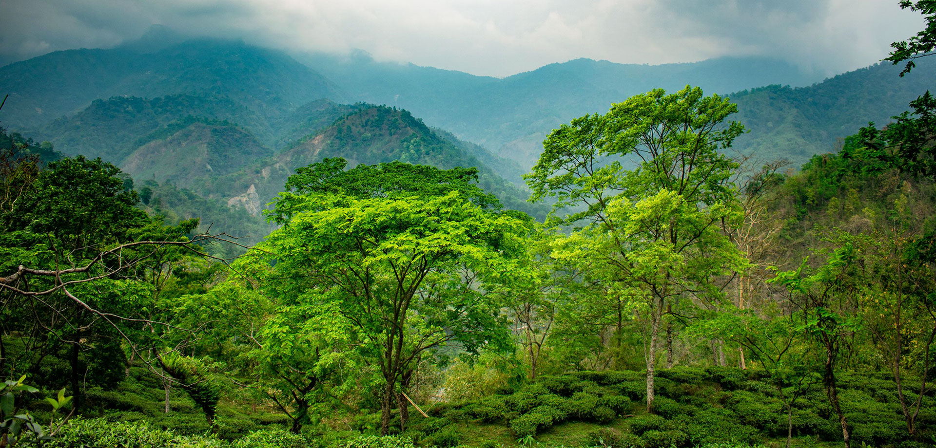 Pahadi Ghar Homestay